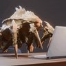 Three Bugs In A Trenchcoat's profile picture