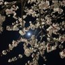 nada profil fotoğrafı