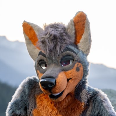 Reno 🏳️🌈 🔜 MP's profile picture