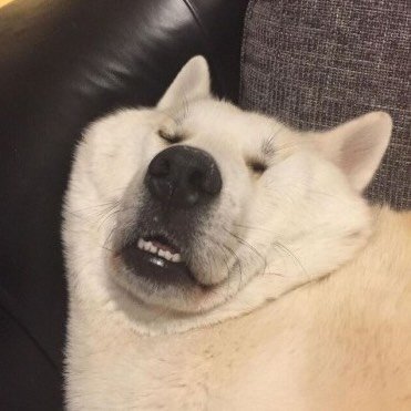 RM's profile picture