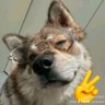 KosiDawg profil fotoğrafı