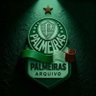 Фото профиля Palmeiras Arquivo ⓟ 𓃟