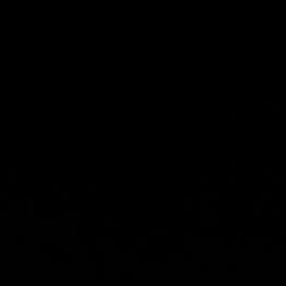 Marina's profile picture