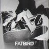 Profilbild von Fatbird