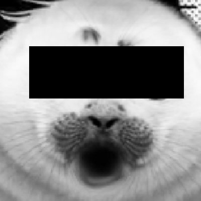 gonerDunkus's profile picture