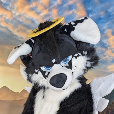 Angel Dog Actual's profile picture