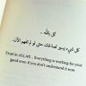 Фото профиля Ahmed ـNabil
