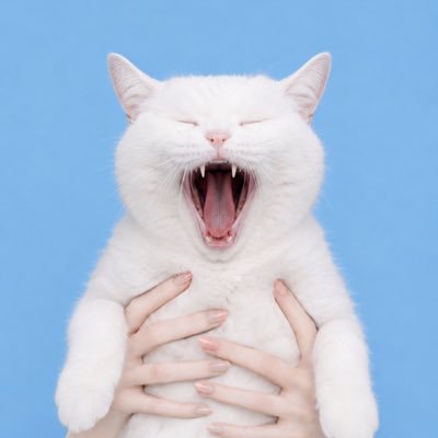 すず's profile picture