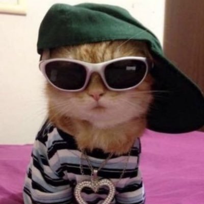 Rojito's profile picture