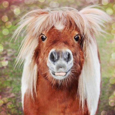 Nyadia 🐴🎰's profile picture