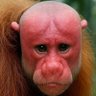 Profilbild von DavidLred