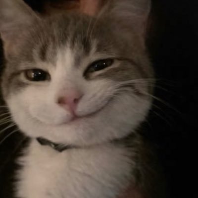 larabrtn's profile picture