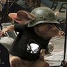 Profilbild von ADOCTRINADO POR TONTIN TARANTINO