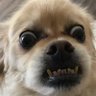 JacksonJoestar88's profile picture
