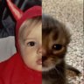 xesgei's profile picture