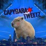 CapybaraTweetz 的头像
