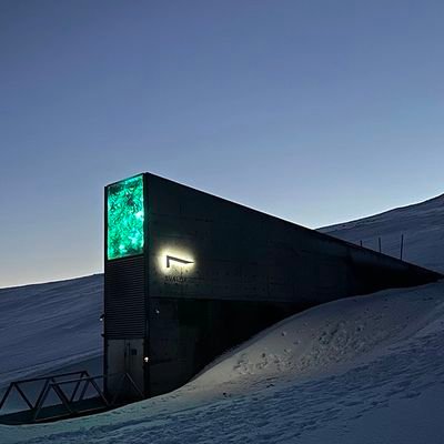 Seed Vault's profile picture