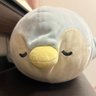 ぷくちゃん profil fotoğrafı