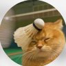 Profilbild von Lord Aceng