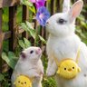 やっこ 的头像