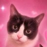 matheus farias?'s profile picture