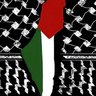 Profilbild von Kefiyyeh Brigade 🌹