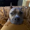 Pitty Mahomes's profile picture