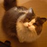 Фото профиля Zoe