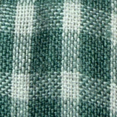 tngc_tp's profile picture