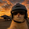 Фото профиля 猫老弟