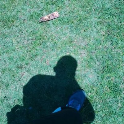 dest_fk's profile picture