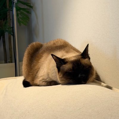 Baebee20's profile picture