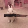 Profilbild von ごっどらびっと