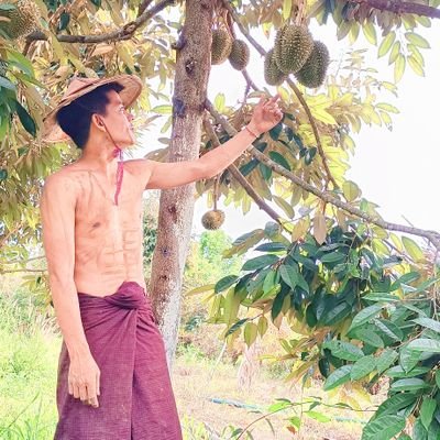 ဘုန်းမင်းသန့်'s profile picture