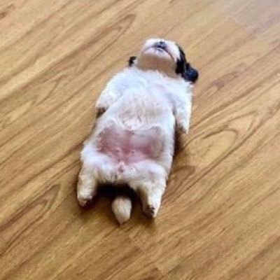 (Rest) 𝘗𝘢𝘯𝘥𝘢 ขอ Baepsae อีกรอบ🙏🏻's profile picture
