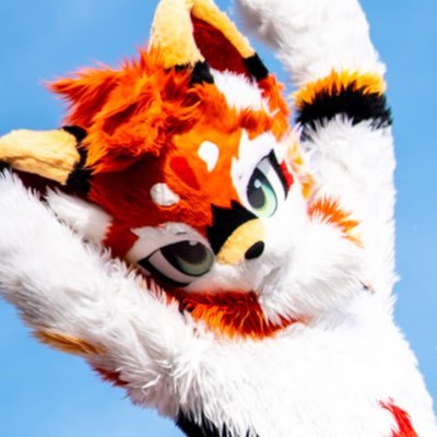 mofumofuseikuu's profile picture
