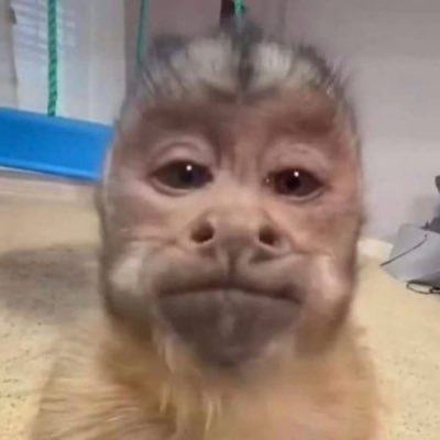 jose's profile picture