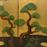 Profilbild von 松子财库