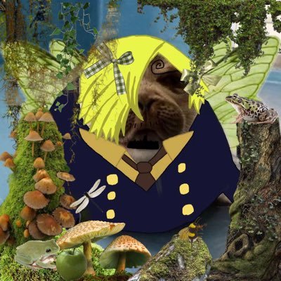moss .𖥔 ݁ ˖'s profile picture