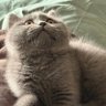 无聊 的头像