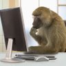 Vasuuuu's profile picture