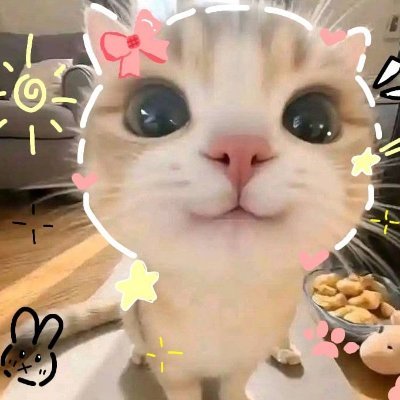 naysaaa.🦋's profile picture