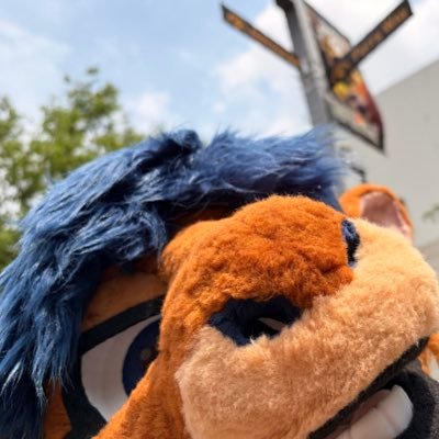 BustyGoatBoy's profile picture