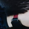 Profilbild von blackCat