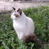 SGZ profil fotoğrafı