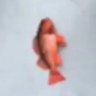 Pog The Fishman profil fotoğrafı
