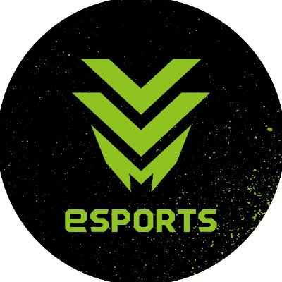 レバンガ北海道esports's profile picture