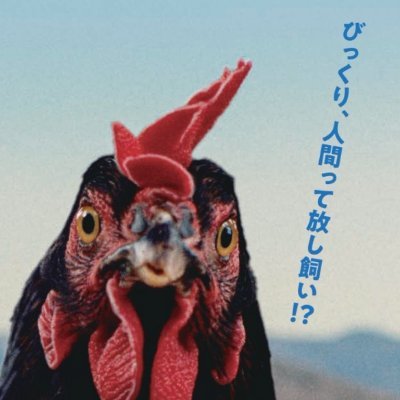 HARK_COMPANY's profile picture