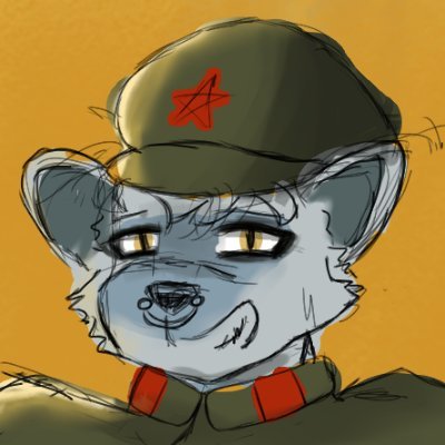 Ryu ☭ 🏳️🌈🇵🇸🇨🇺🇻🇪's profile picture