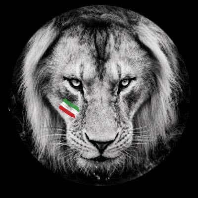 شــیـــردل's profile picture